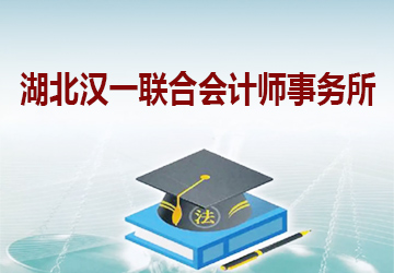 湖北汉一联合会计师事务所